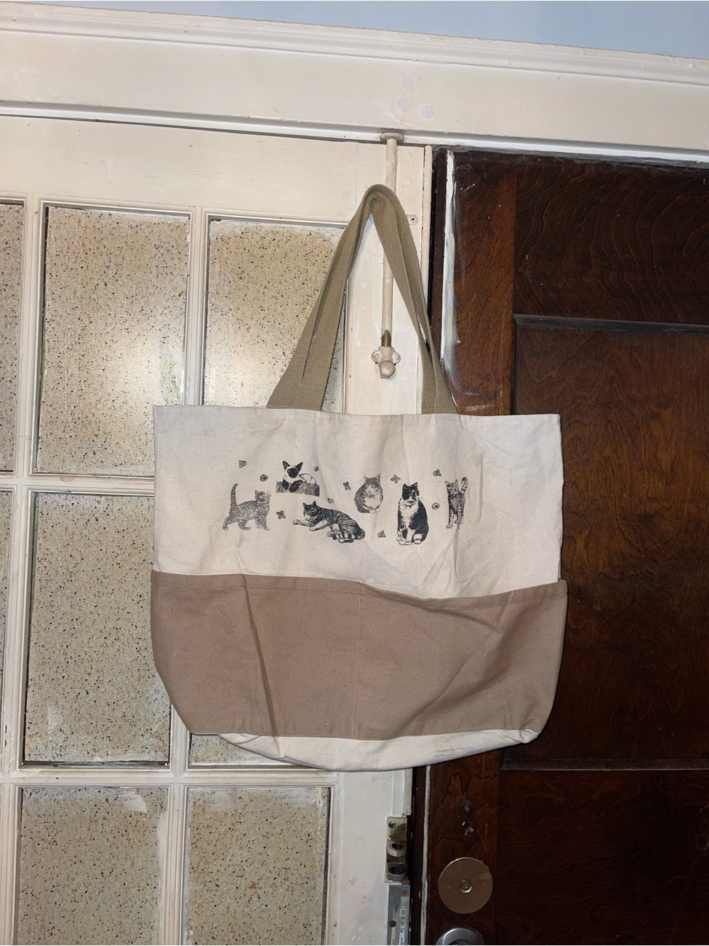 AS IS Canvas Two-Tone Tote Bag with Cat Print